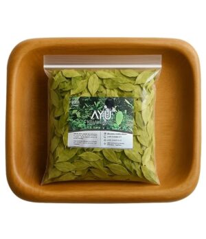 Hojas de ayu sagrada cultivadas en la Sierra Nevada de Santa Marta